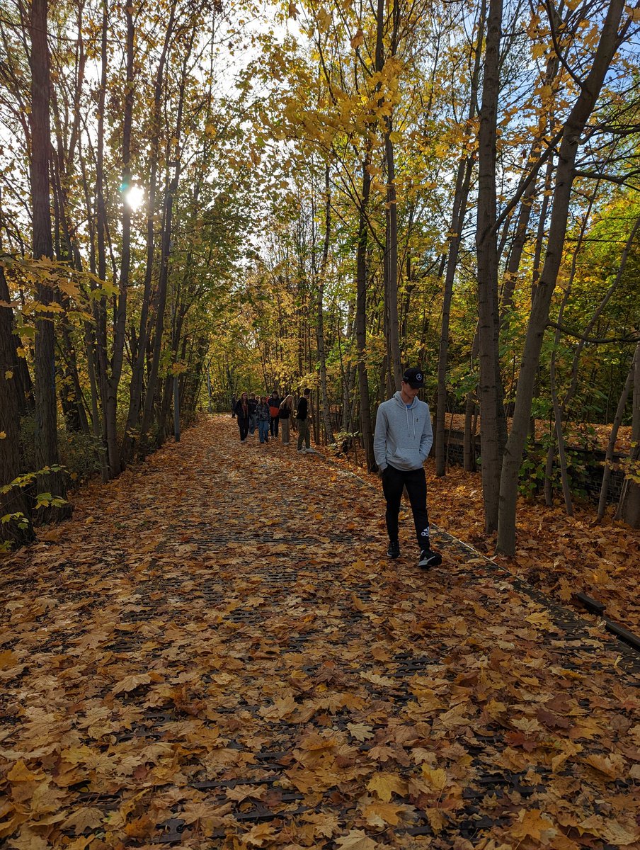 THS History Dept (@ths_hist) on Twitter photo Day 4 <a href="/THSsixthform/">Thomas Hardye Sixth Form</a> History students had a thought provoking morning at Sachsenhausen concentration camp followed by a stop at platform 17 which is where Jews from Berlin were deported from to various Nazi concentration and extermination camps. Day 4 <a href="/THSsixthform/">Thomas Hardye Sixth Form</a> History students had a thought provoking morning at Sachsenhausen concentration camp followed by a stop at platform 17 which is where Jews from Berlin were deported from to various Nazi concentration and extermination camps.