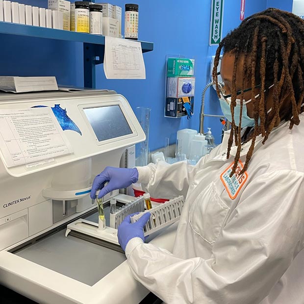 Tweet by AVMA (American Veterinary Medical Association)