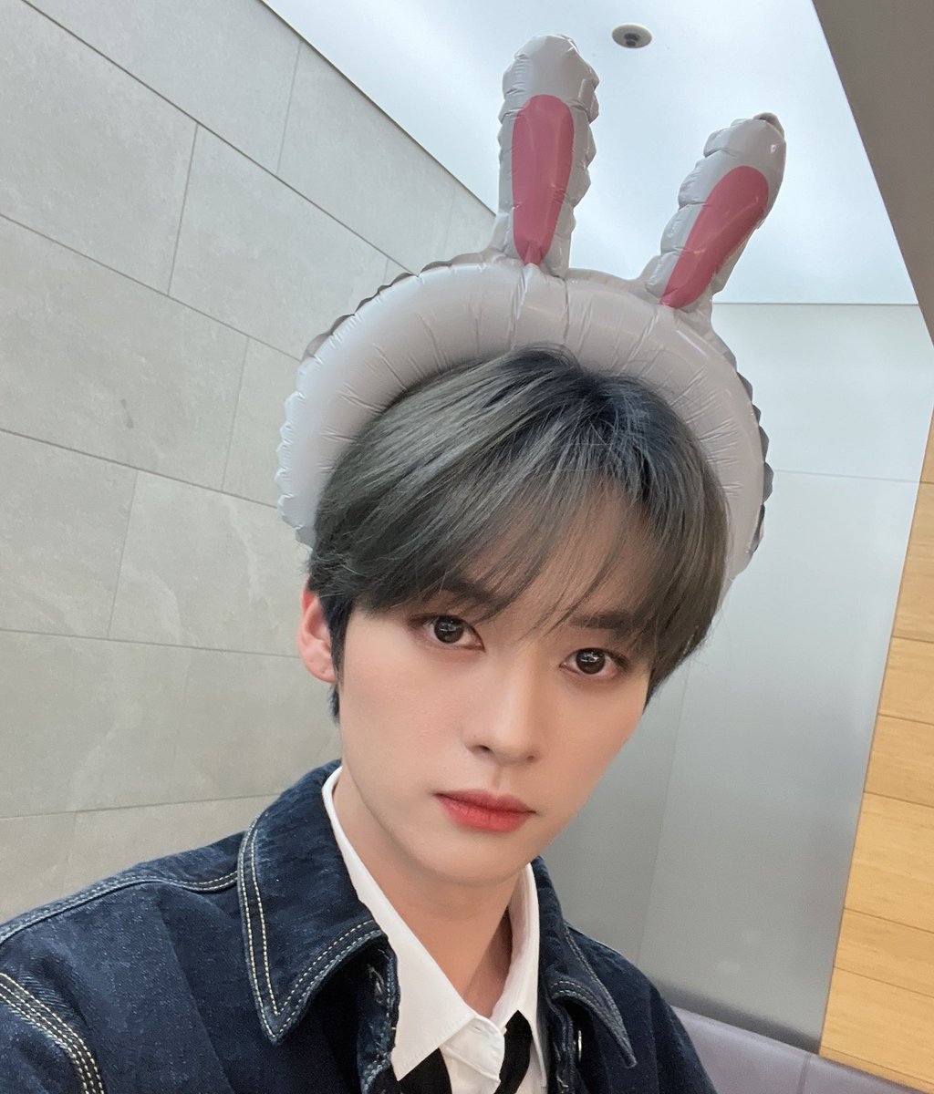 lee know as cats 🐱 tweet media