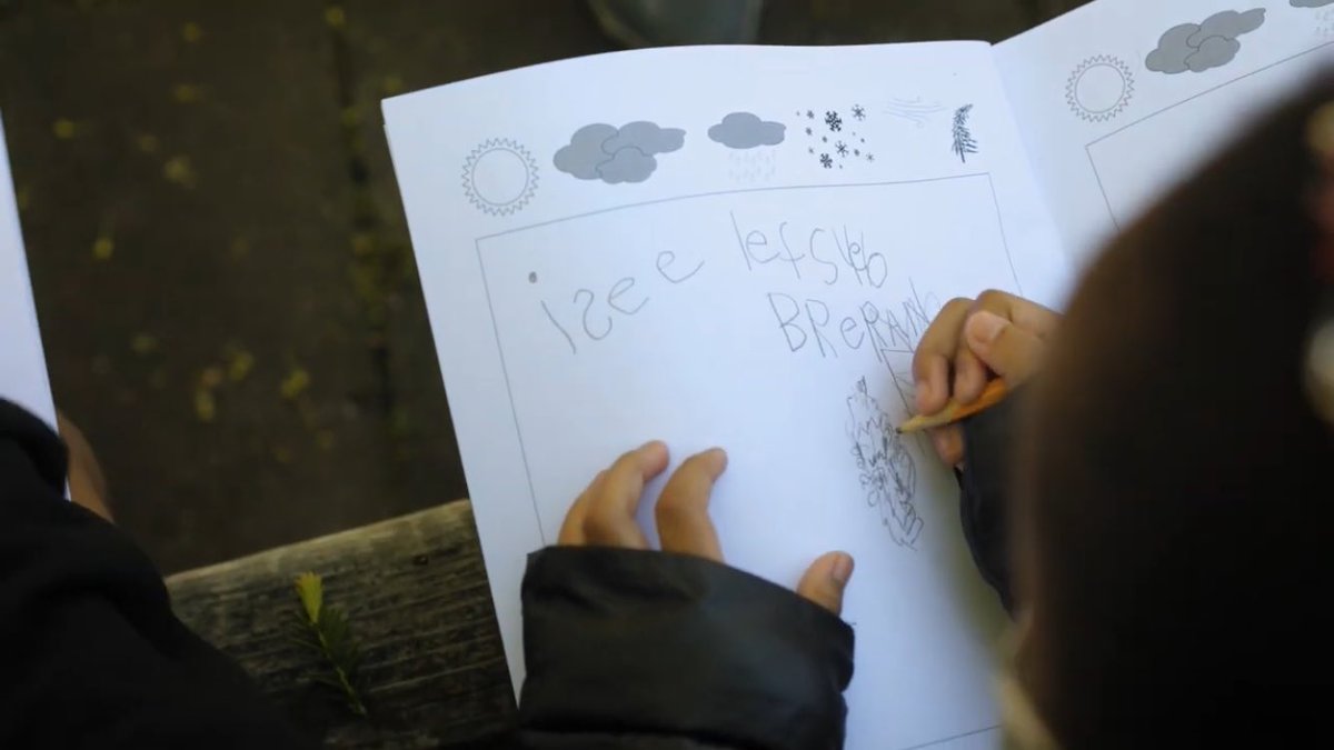 Firsthand Learning tweet media