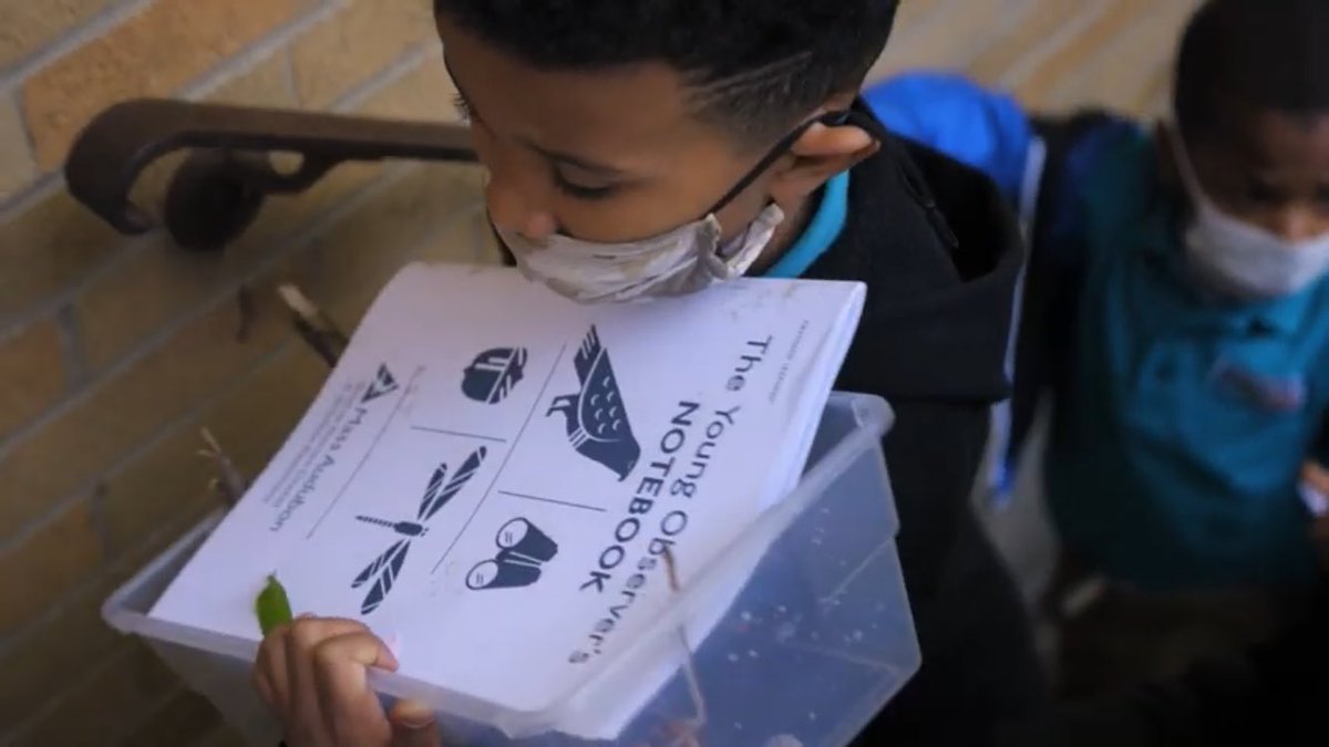 Firsthand Learning tweet media