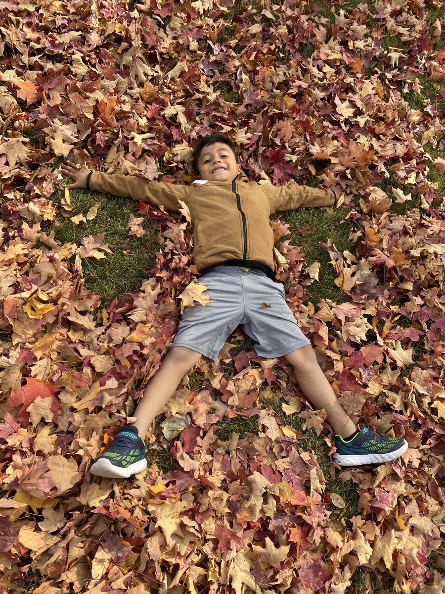 MrsJessCosman's tweet photo. No better way to come back from fall break than to the playground covered in leaves! #ic2223 #onlyatIC #ICallthetime https://t.co/4uJQmJm2pb