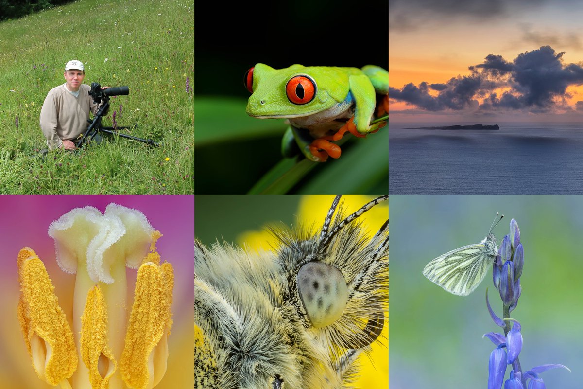 Would you like your macro photos critiqued? Now is your opportunity to have them critiqued by the professional macro photographer Robert Thompson on NPN! Learn more here npn.link/rtcritiqueguest