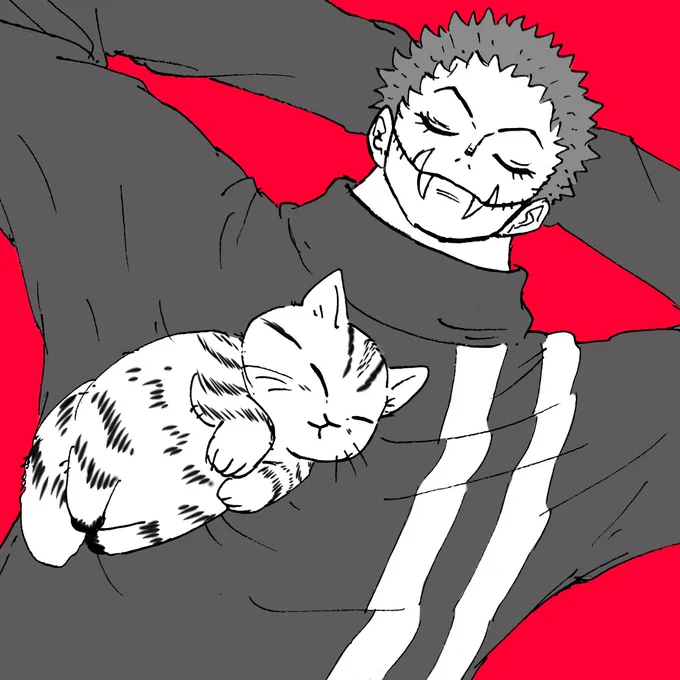 カタクリとネコ 