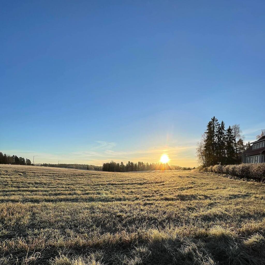 AnnikaSarajarvi's tweet photo. Olipas kaunis ja rapsakka aamu. Ja ihana aurinko helli koko päivän ☀️

~

#aurinko #syyspäivä #crispymorning #feelslikewinter https://t.co/7HWeBeHH4N https://t.co/E3hY9PB9nK
