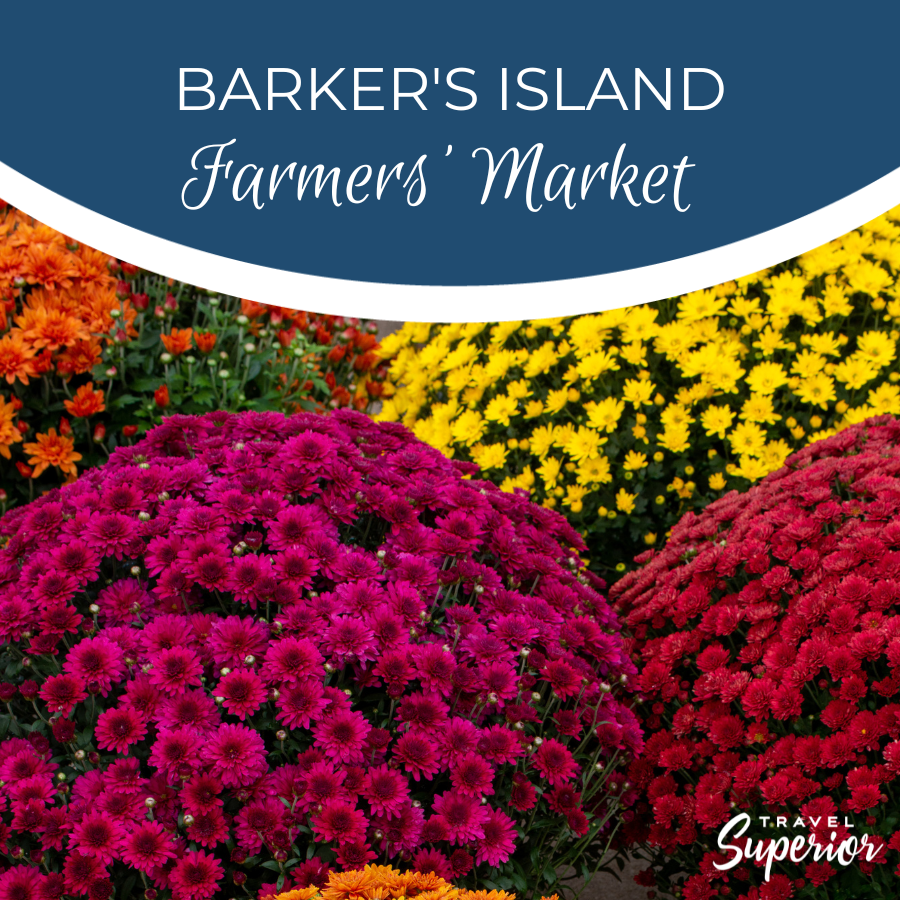 TravelSupWI's tweet photo. It's the last month to enjoy – stop by and stock up!

The Barker's Island Farmers' Market is held every Saturday, 9:00 a.m. - 12:00 p.m. through the end of October.

#TravelSuperior #Events #LocalEvents #SuperiorDouglasCounty #LakeSuperior https://t.co/liFjSAGuJn