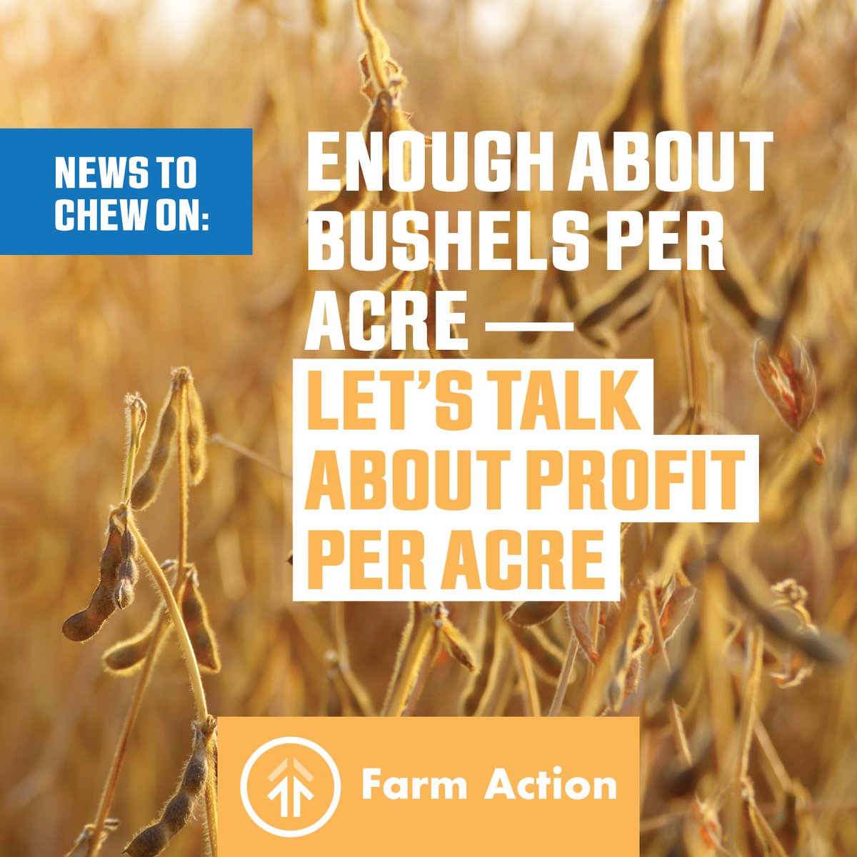 FarmActionUS's tweet photo. Itโs #BinBuster award season, but this focus on yields distracts us from talking about profitability for farmers - and thatโs by design. How about #BankBuster awards instead? Read more in our blog:https://t.co/yk8I5026Yb https://t.co/MAny9mY71U