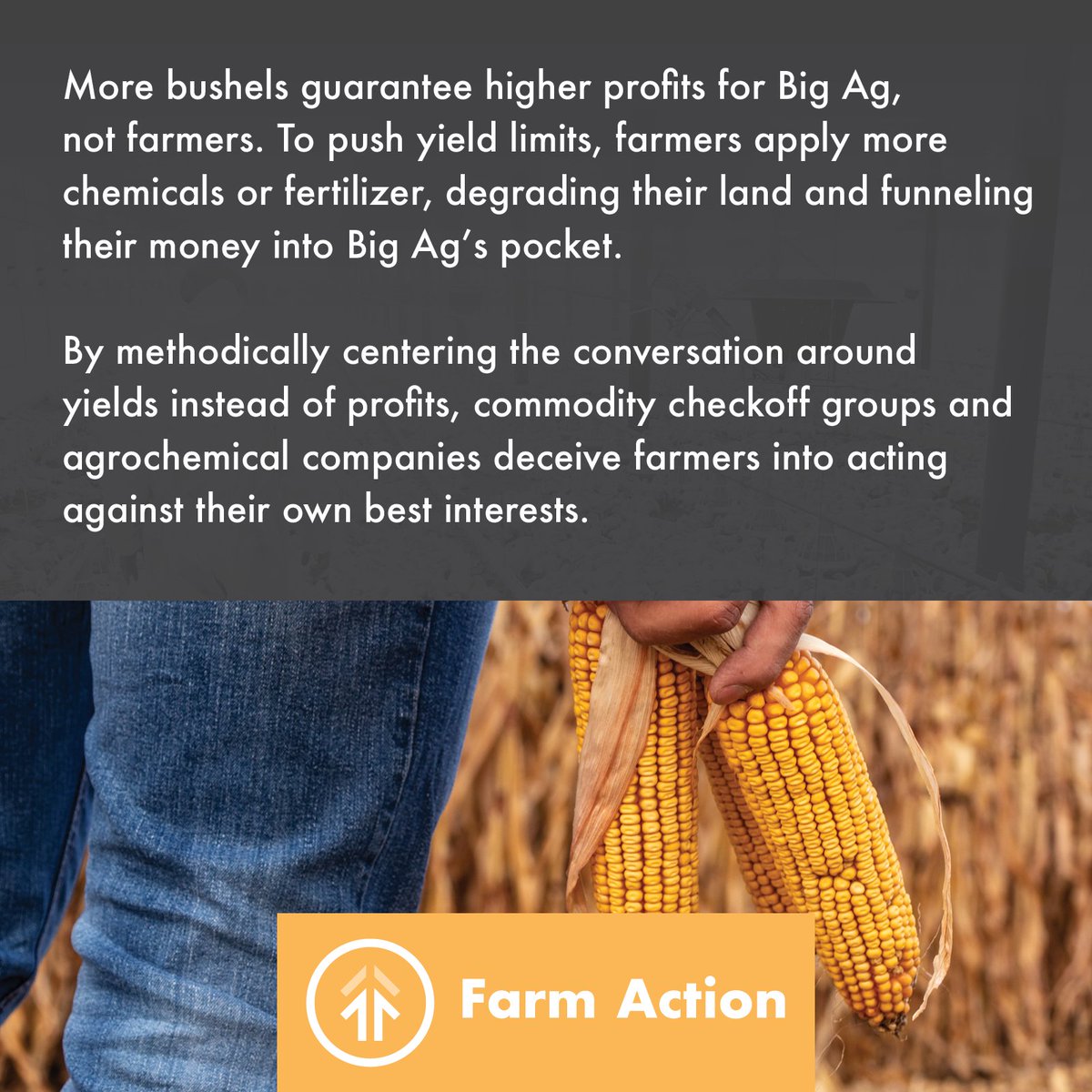 FarmActionUS's tweet photo. Itโs #BinBuster award season, but this focus on yields distracts us from talking about profitability for farmers - and thatโs by design. How about #BankBuster awards instead? Read more in our blog:https://t.co/yk8I5026Yb https://t.co/MAny9mY71U