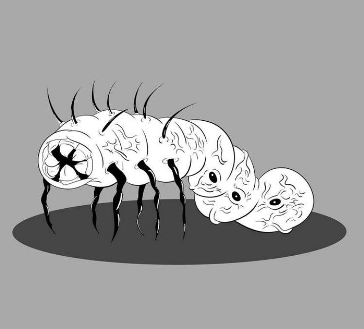 lostincubus84's tweet photo. Inktober 2022 Day 20-Cadaver Larva: The Larava is representative of death just like the fully grown Cadaver Worm.
#illustration #graphicarts #animator #horrormovies #horrormonster #inktober2022 #inkeddrawing #characterdesign #projectdreamscape #horrorcomicbook #monsterdesigns https://t.co/dE7ouekTTh