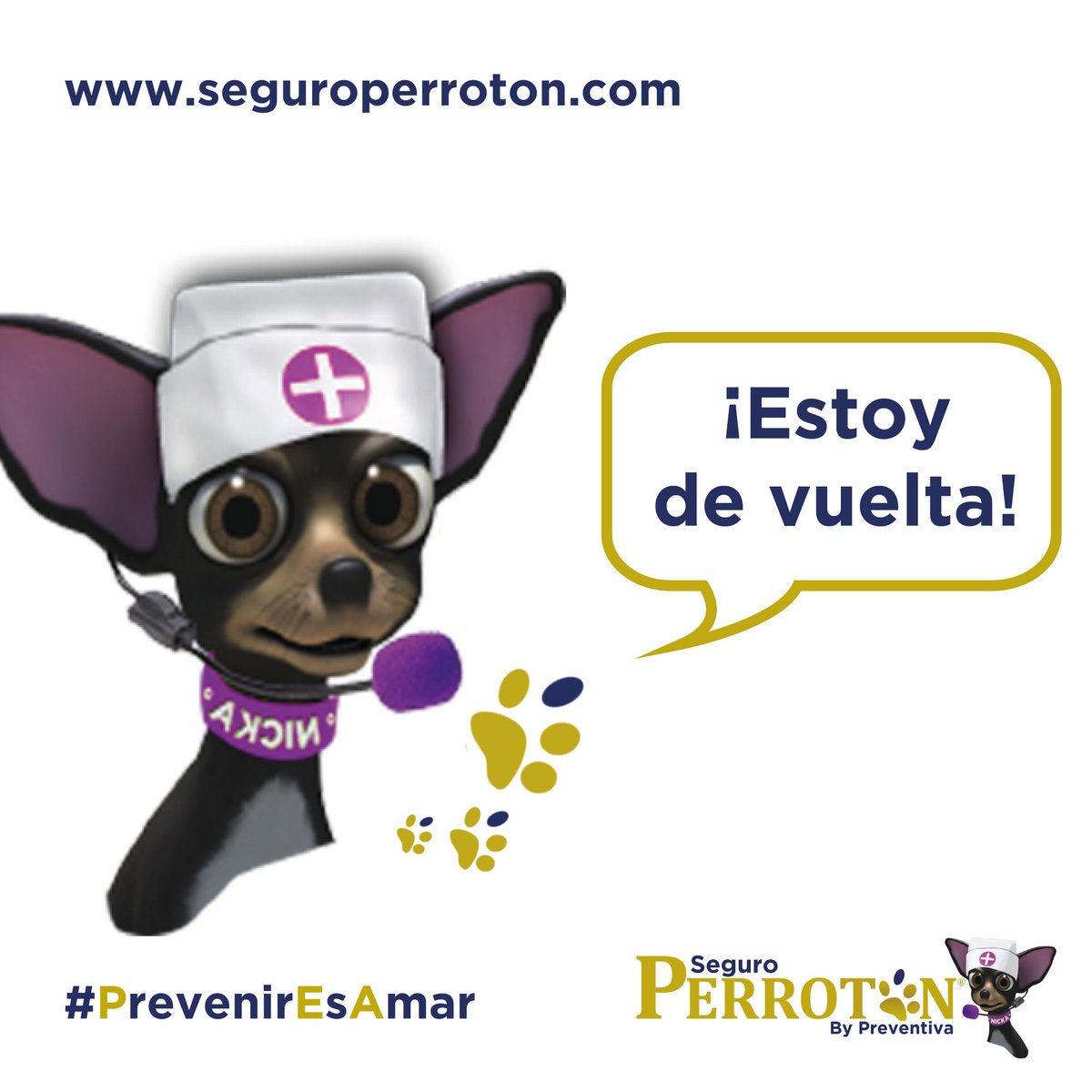 SeguroPerroton's tweet photo. Imagínate que tienes la mala suerte de que tu perrito enferma mientras lo están cuidando unos amigos o tiene un accidente mientras lo pasean🐶

Con Seguro Perrotón, tanto la cobertura de RC como las de Asistencia Veterinaria le protegerán lo pasee quien lo pasee 😎 https://t.co/UKnVMhkhaw