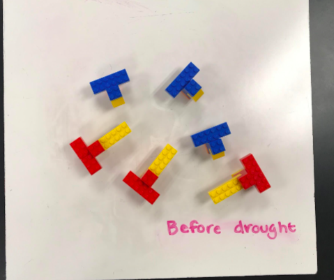 MarcusMrsD's tweet photo. Lego evolution fun - Students did an outstanding job of making predictions and making their thinking visible wrt natural selection and gene pool using legos. @MHS9th https://t.co/F0j1RxeGN1