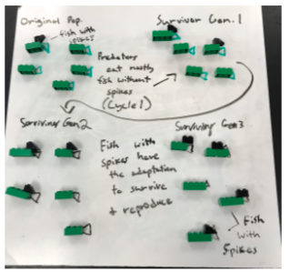 MarcusMrsD's tweet photo. Lego evolution fun - Students did an outstanding job of making predictions and making their thinking visible wrt natural selection and gene pool using legos. @MHS9th https://t.co/F0j1RxeGN1