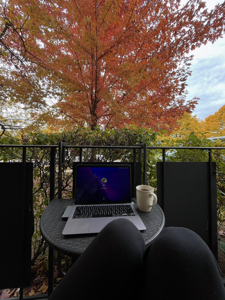 Cale 🥬 tweet media