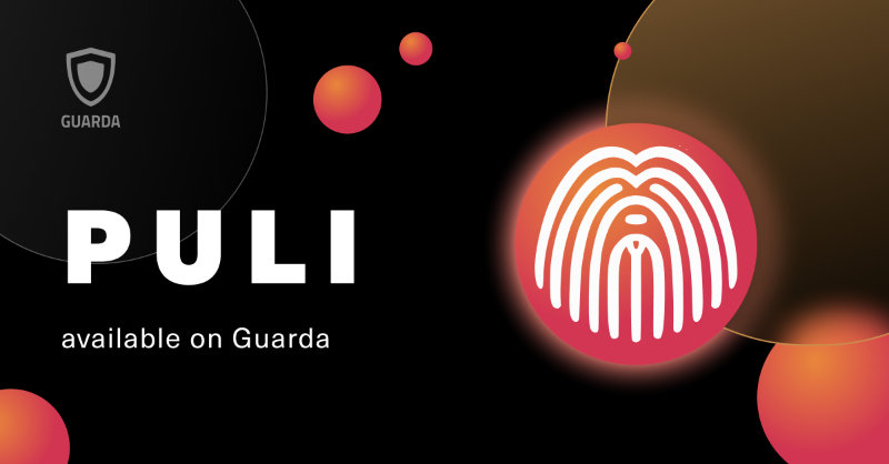 GuardaWallet's tweet photo. #Blockchain games ➕ memes = #PULI 🕹️

@Puli_Token merges RPG, #P2E gaming, #NFTs and staking to give a #gamefi ecosystem a fresh twist 🔥

You can safely store and manage $PULI on web and desktop Guarda #BSC Wallet ⬇️
