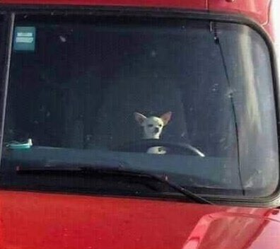 Guarromantico_'s tweet photo. Mi amix de 1,50 que maneja una camioneta. https://t.co/p1cDLhkC8w