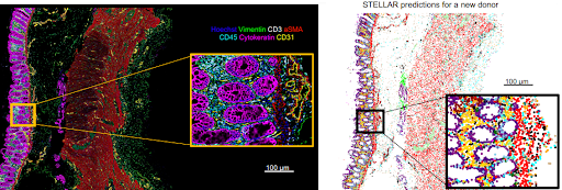 DEEP LEARNING FOR CELLULAR IMAGE ANALYSIS NATURE METHODS visual data 4