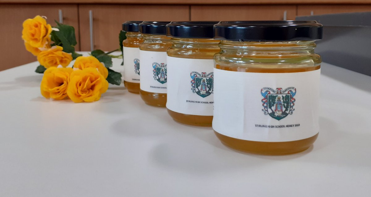 Social Enterprise Academy Schools tweet media