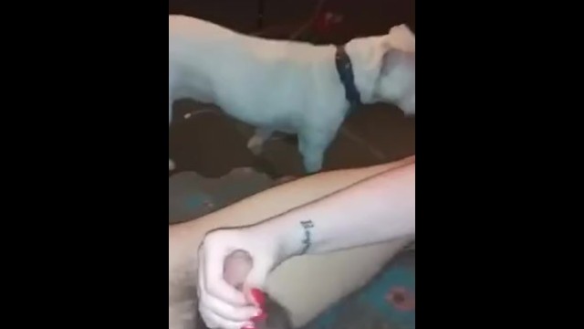 Fresh video on PornhubModels - get it while it's hot: https://t.co/sZtyYgvnIz https://t.co/0xTfaF2gD