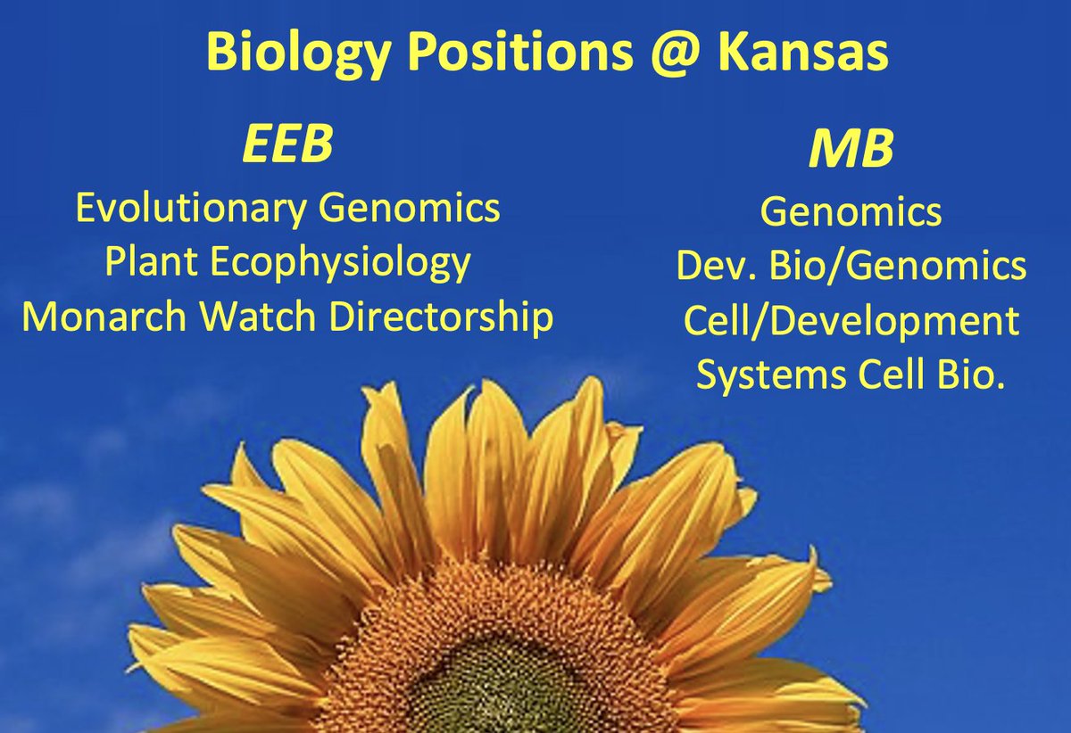 KU_EEB's tweet photo. A wonderful set of faculty positions available in Biology at KU. Two collegial departments (EEB and MB) and a great college town. Deadlines are approaching - please let others know! (Links for all positions below) https://t.co/PmJier6KVN