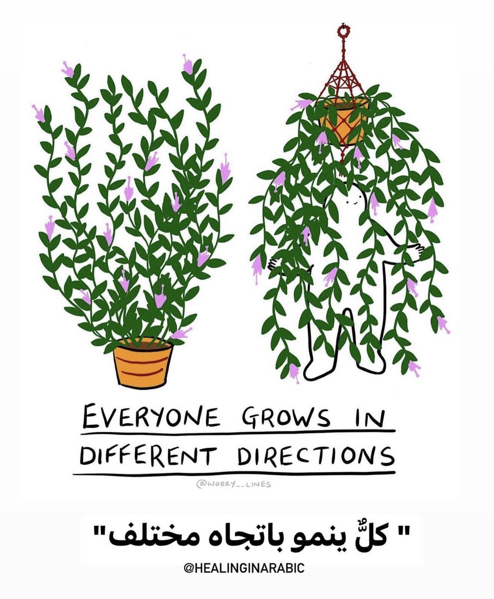 Deemah_Atq's tweet photo. كلٌّ ينمو بطريقته، ووقته، ومكانه، 
فلا تقارن نمّوك بنمو غيرك. https://t.co/qrCRYVhdvu