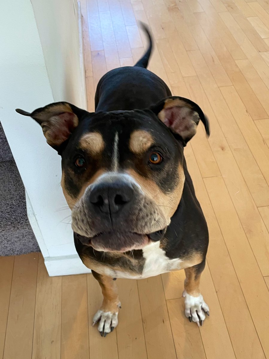 JoeFelice's tweet image. Wow that's a beautiful priceless painting...

...for me to soup on!!!