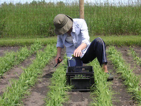 River Cafe tweet media