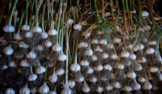 River Cafe tweet media