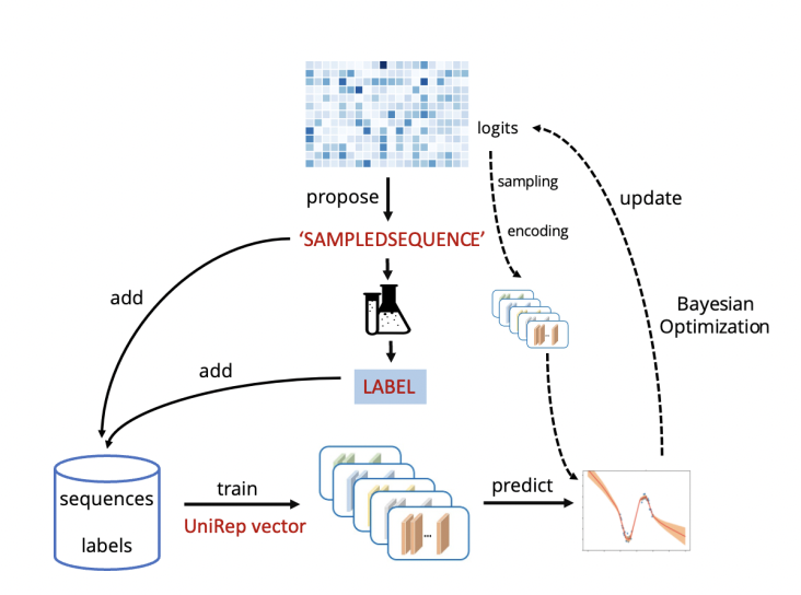 Valence Labs (@valence_ai) on Twitter photo This week at M2D2, <a href="/ZiyueYang37/">Ziyue Yang π£</a> will show us how we can improve pre-trained models for novel protein/peptide sequence design with Bayesian Optimization, reducing the amount of experimental data required.
Join us tomorrow, Tues Oct 25th at 11am ET! This week at M2D2, <a href="/ZiyueYang37/">Ziyue Yang π£</a> will show us how we can improve pre-trained models for novel protein/peptide sequence design with Bayesian Optimization, reducing the amount of experimental data required.
Join us tomorrow, Tues Oct 25th at 11am ET!