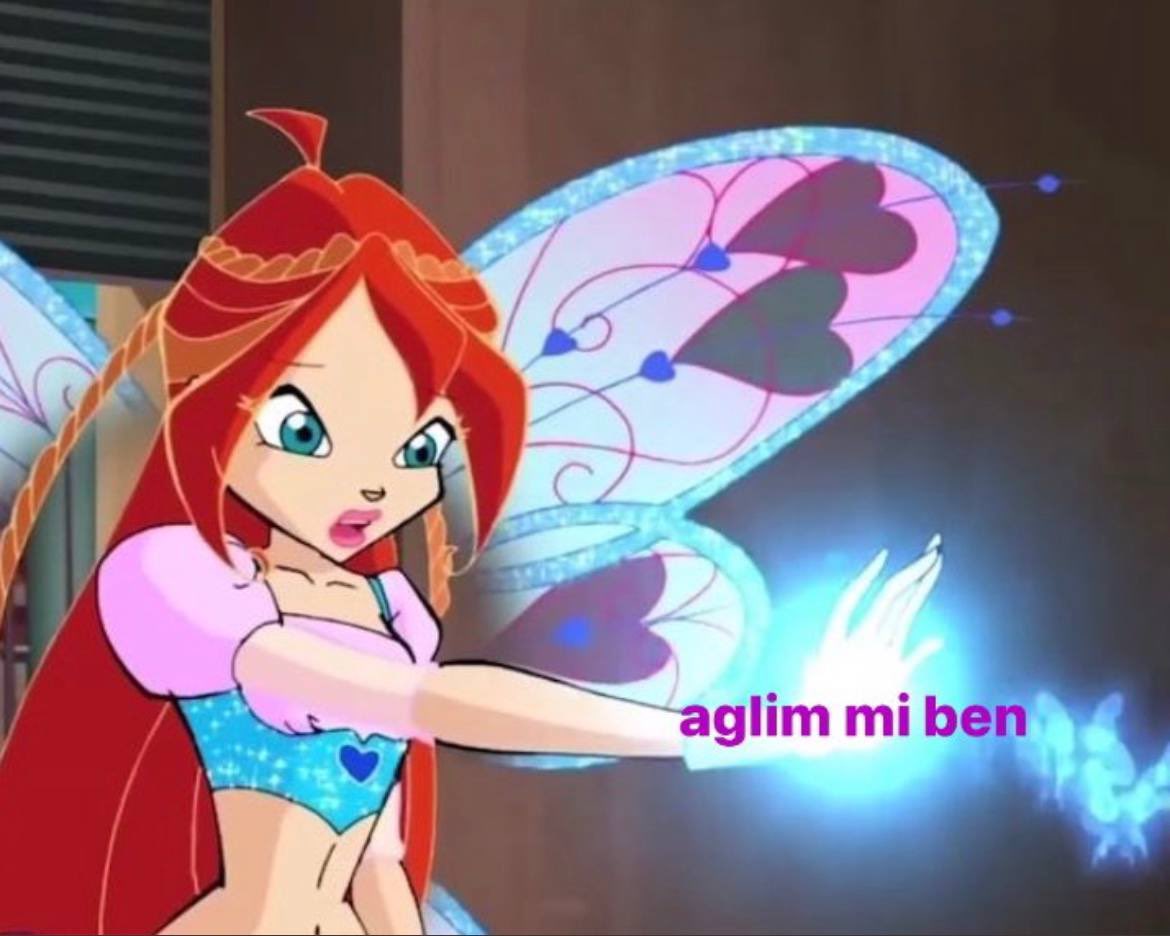 Блум Беливикс