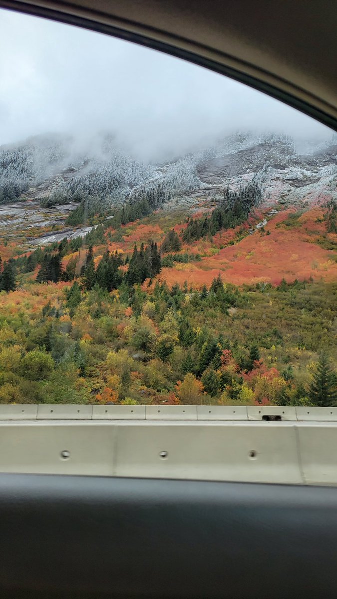 meganne_ux's tweet photo. Road tripping in interior British Columbia! Caught the last day of the salmon run, tried bannock for the first timeπ, and will have a few days of no internet / reception coming up next! Lookjng forward to the total refresh. ππ²βοΈπ #techcleanse https://t.co/qX9y126p2V