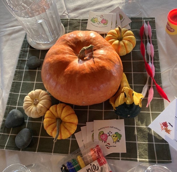 Thank you to all our current and past grantees who attended Journey to Wellness last week! It was wonderful to see you all in-person!🧡