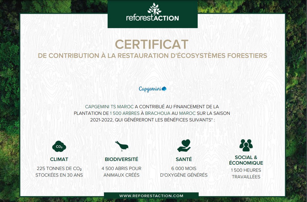 Capgemini_Maroc's tweet photo. Pour ses 15 ans de présence au Maroc, @Capgemini Technology Services Maroc s’associe à @reforestaction et plante 1500 arbres afin de compenser l’impact environnemental de ses activités.
#Capgemini #ReforestAction #RSE #Forêt #CapgeminiTSMaroc https://t.co/zZUqNMDzWS