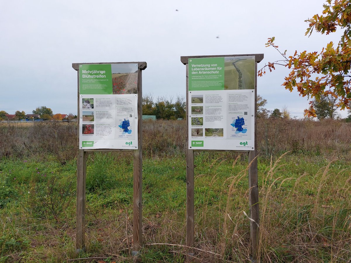 Today I visited and held a candid discussion with <a href="/landwirtinaus/">LandwirtinausLeidenschaft</a> at the <a href="/agt_Trebbin_eG/">Agrargenossenschaft Trebbin eG</a>, Thanks for sharing and whatever is being done on the farm is worthy emulating for a sustainable future.
