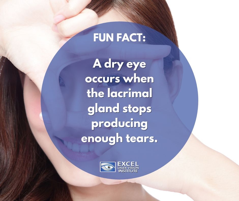 Excel_Eye's tweet photo. Dry eyes are a natural part of aging. It also occurs when the lacrimal gland stops producing enough tears.
#lasikorangecounty #lasikeyecenterlosangeles #lasikeyecenterorangecounty #benefitsofclearvision #DoctorMoosa #ExcelLaserVisionInstitute #funeyefacts #eyefacts https://t.co/dSKfgcRPeq