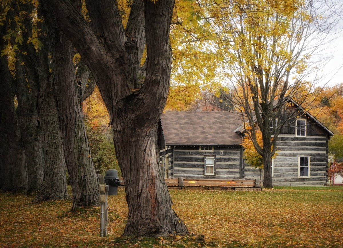 Picture taken last Thursday with my tele lens since the Cumberland Heritage Museum was closed 🤷‍♀️

#rural #countryside #fall #autumn #AutumnVibes #fallcolors #landscapephotography <a href="/YoushowmeP/">Youshow_Photo</a> #ThePhotoMode #ThePhotoHour #ottawa #canada #discoverON