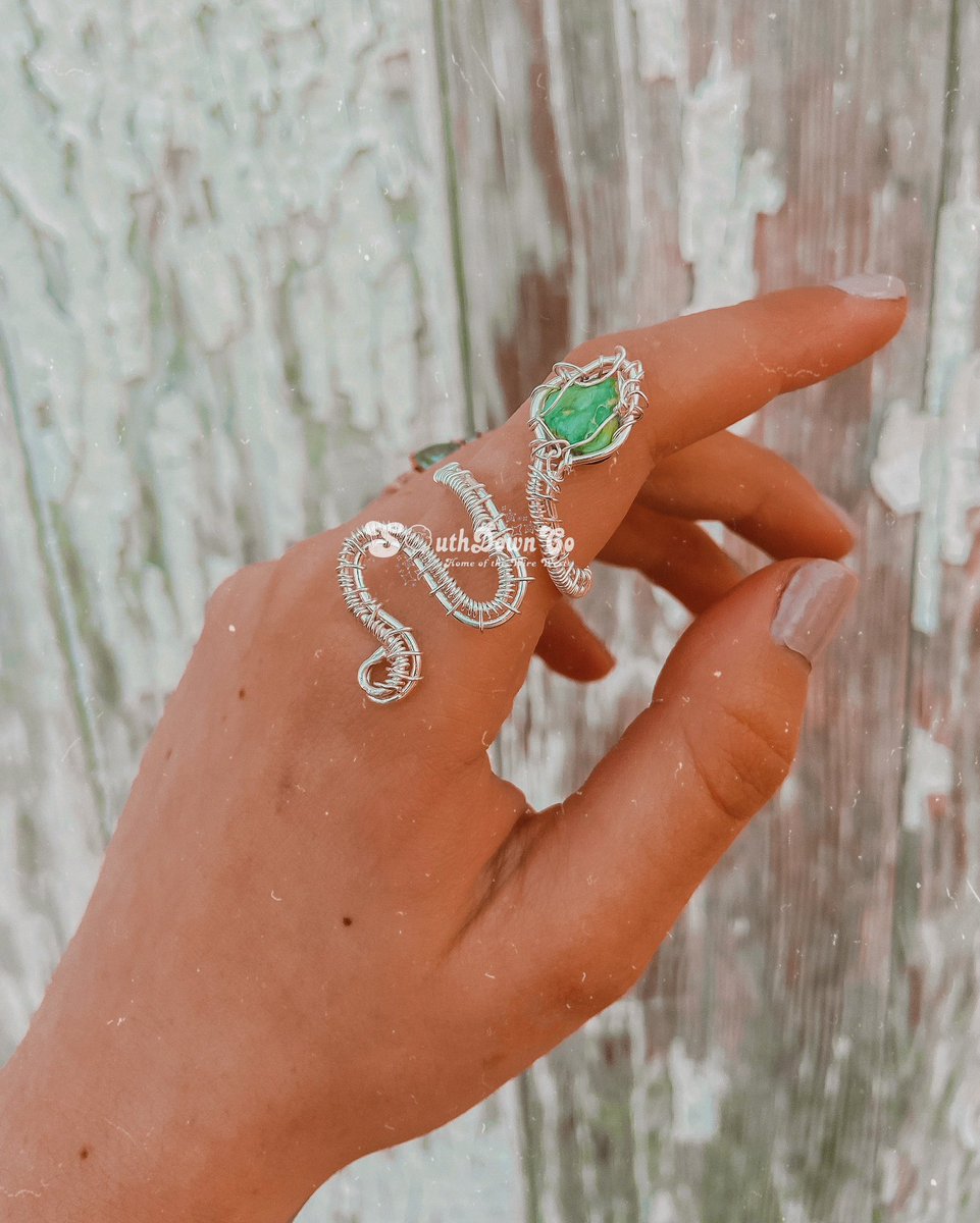 Sonoran snake🐍✨