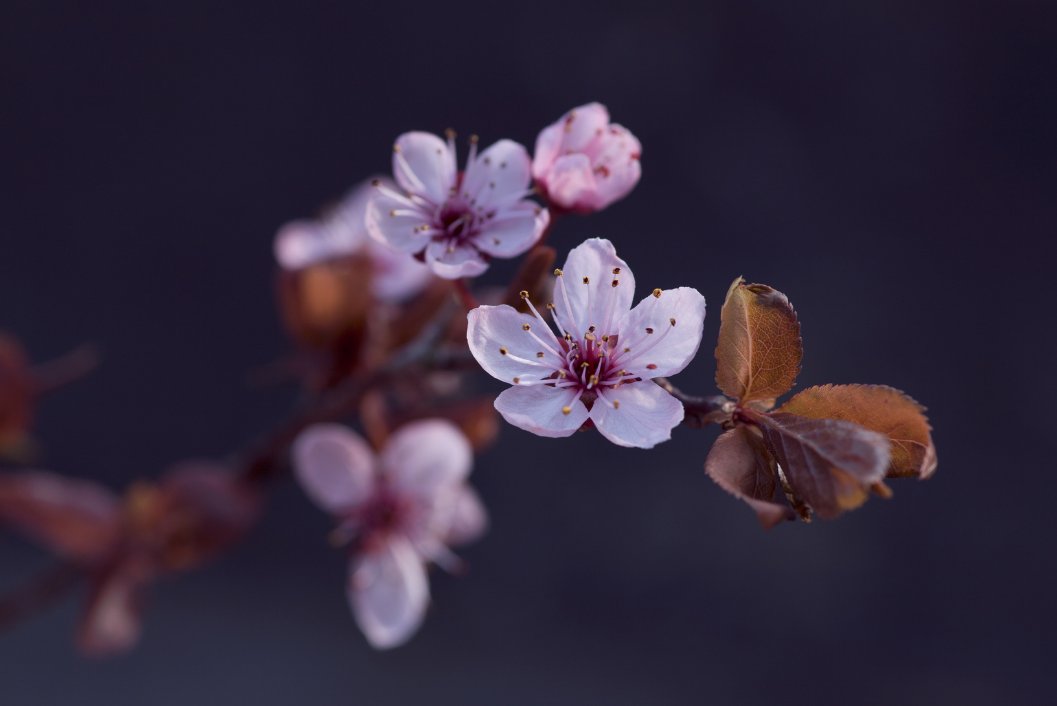 "Temperature is caused by the movement of the cells within the body. In the spiritual life, a person must learn and grow--must move toward God--to be healthy and alive."
- Kate Moorehead Carroll 

Learn in Kate's live class about keeping up with your spiritual health.