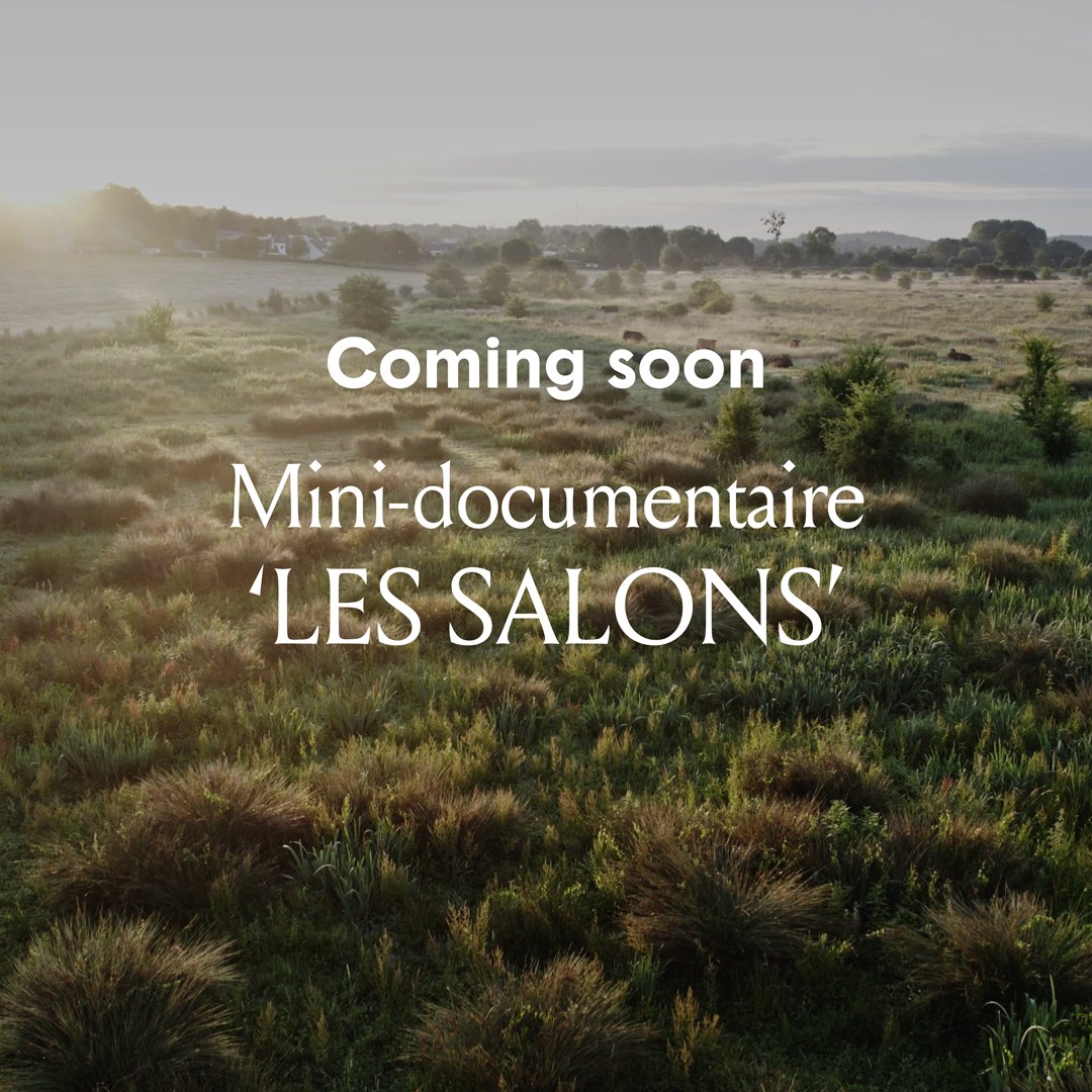 After an extensive make-over, from the menu to the tableware, Les Salons has regained its edge as the gastronomic temple of our estate. Curious about the steps we took and the differences they make? Our mini-documentary ‘Les Salons’ takes you along on the journey. Coming soon!