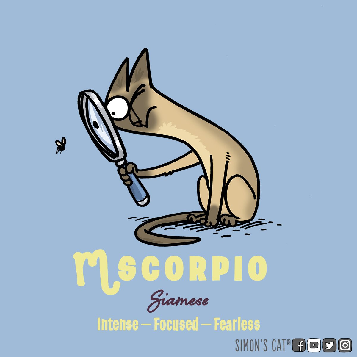 SimonsCat's tweet photo. It's Scorpio season! ♏ 🦂 Intense, Focused, Fearless...just like a Siamese kitty. Shop the collection: https://t.co/341WoxspNR https://t.co/A23nPYr6DK