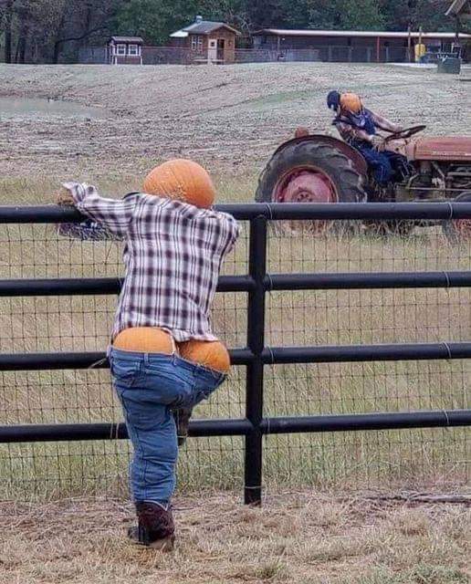 IsenbergArlene's tweet photo. That Pumpkin Spice Latte went straight to my Hips ๐ #PumpkinHumor ๐ https://t.co/hj7E3cdZgB