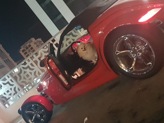 CryptoGraphs2's tweet image. A friend is like a star that twinkles and glows Or maybe like the ocean that gently flows. A friend is like gold that you should treasure And take care of forever and ever. Hunter day out 
💗 #sfm #crypto #busd #bnb #binance #btc #bbtf #wealth #nft #trading #dubai #uae #dogs #xrp