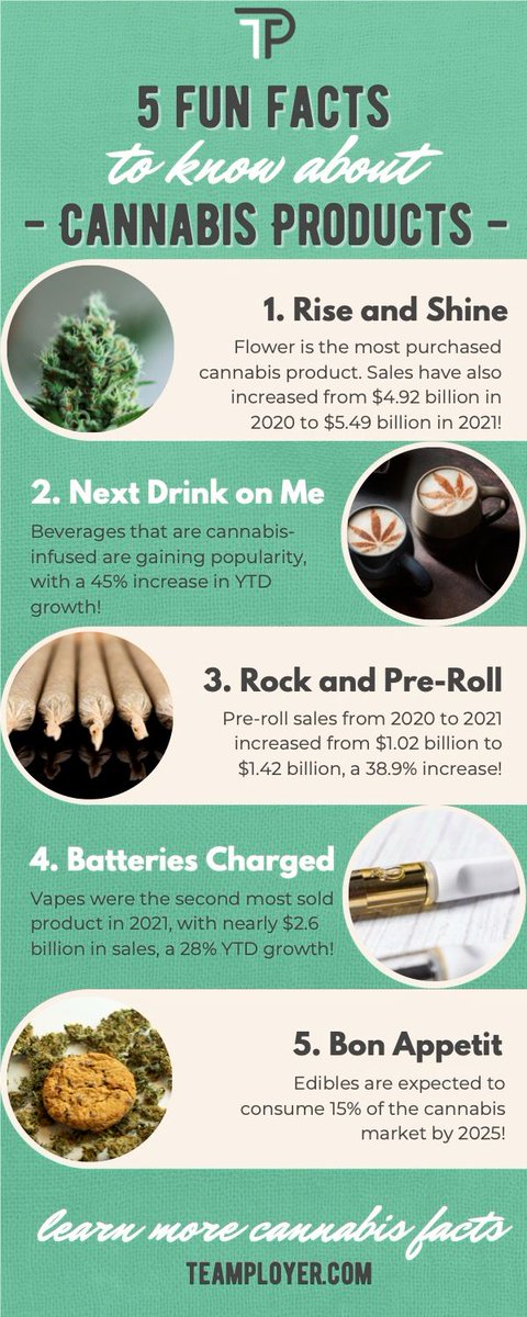 GoTeamployer's tweet photo. Cannabis is here to stay. And the demand for it never seems like its slowing down! Can't wait to see how 2022 finishes!

Here are some fun facts you might not know about this booming industry: 

#cannabis #cannabisindustry #cannabisretail #growth #teamployer https://t.co/MpvZnzZP4I