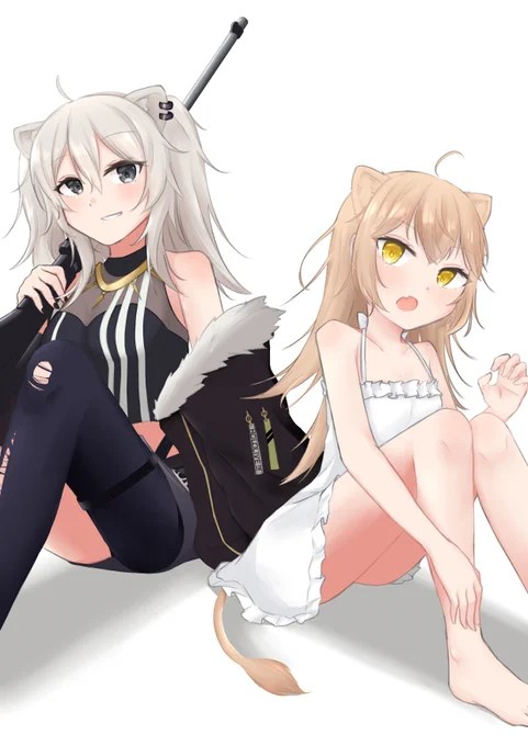 #ししらーと#るるどらいおんししろらいおんとるるどらいおん 