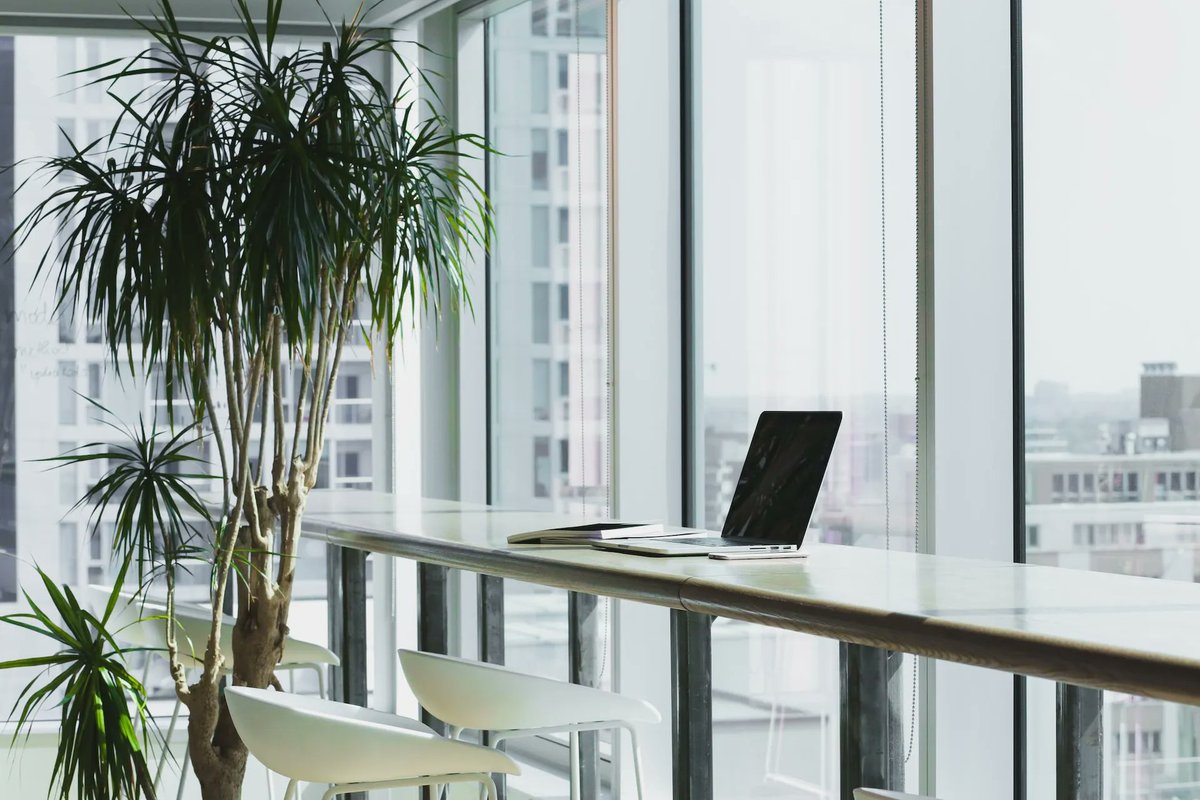 Do you have plants in your office? 🌱 

Numerous scientific studies have proven the positives of having more greenery in your workspace. 

🌱 They help to reduce stress
🌱 They help to increase productivity
🌱 They clean the air
🌱 They can boost creativity