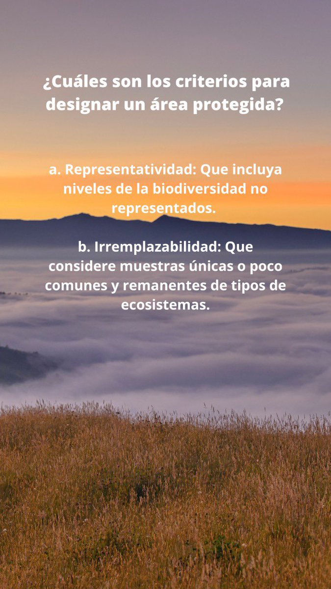 HermanAmayaT's tweet photo. ¿Ya conoces la importancia de nuestras áreas protegidas?
Acá te contamos lo que debes saber de ellas https://t.co/aJd8etOKWx