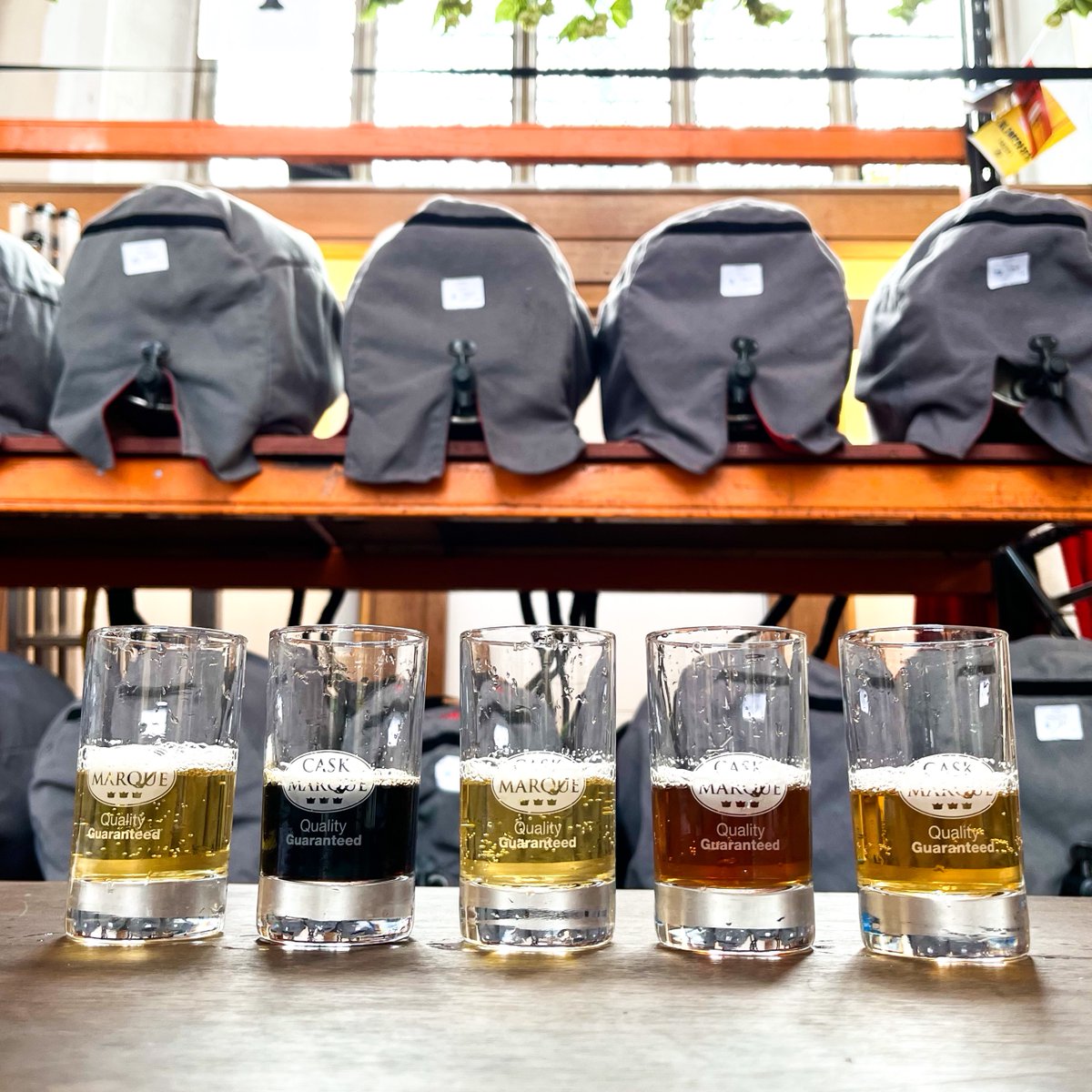 LaconsBrewery's tweet photo. DOORS ARE OPEN 🍻 @NorwichBeerFest

Look out for our special edition Heritage Ales that have been conditioning in wood casks - Old Nogg, Audit Ale and a 10% Imperial Porter.

Encore, Legacy, Phantom and Falcon are also available! See you at the bar🍺

#NorwichBeerFestival #NBF22 https://t.co/GZl769IGEM