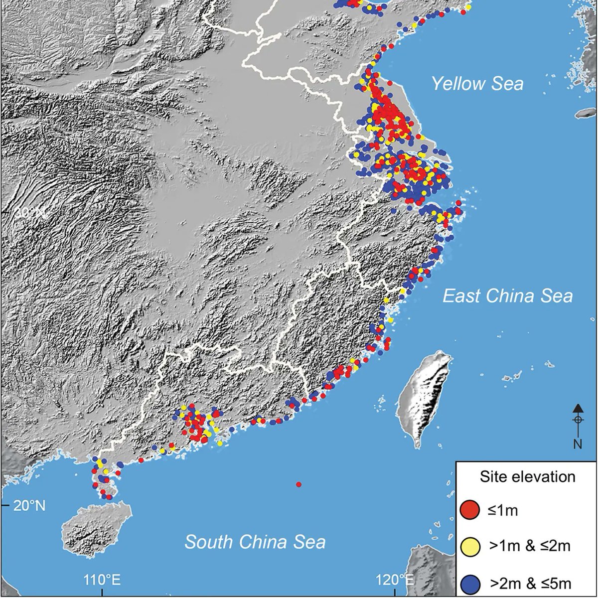 🌊 China's cultural heritage is at risk from climate change, with over 2,000 coastal sites less than 5 metres above sea level, vulnerable to rising oceans. 📷: Sites at risk from sea-level rise; from one of the year's most popular papers (🆓) buff.ly/3Iwg3iN