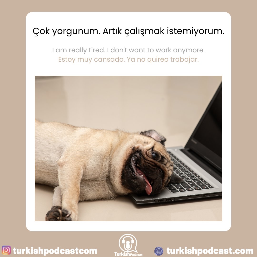 TurkishPodcast's tweet image. Çok yorgunum. Artık çalışmak istemiyorum :( 

#learnturkish #learnturkishonline #turkish #turkishlanguage #turkishpodcast