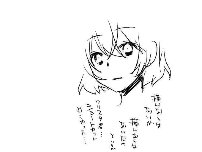 この「(中途半端に)一応なんとかなった」感おわかりいただけるだろうか… 