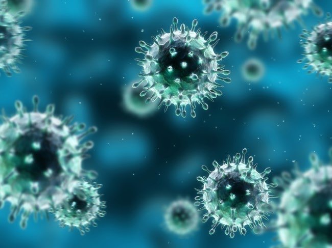 New @UofGlasgow research, using cells from human lungs, offers insights into the hidden world of viral coinfection between #influenza and #RSV The @NatureMicrobiol study was led by @CVRinfo’s @PabloRMurcia and funded by @The_MRC #WorldChangingGlasgow ➡️bit.ly/3TN8slw